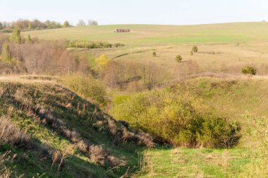 Dağ geçidi ağaç bahar. Toprak erozyonu bahar sezonu. Bahar güneşli bir dağ geçidi boyunca ağaçlar