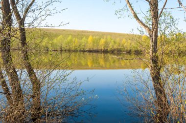 bahar Gölü. Su birikintisi bahar. Bahar park göl. bahar Gölü sahne. Bahar gölün kıyısında.
