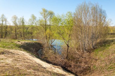 bahar Gölü. Su birikintisi bahar. Bahar park göl. bahar Gölü sahne. Bahar gölün kıyısında.