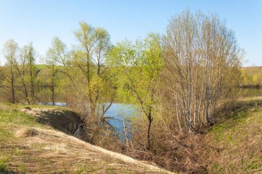 bahar Gölü. Su birikintisi bahar. Bahar park göl. bahar Gölü sahne. Bahar gölün kıyısında.