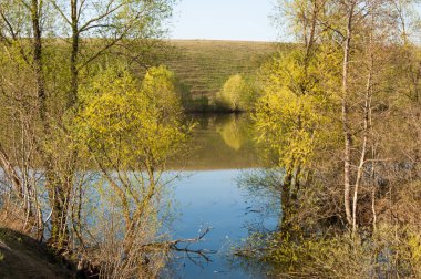 bahar Gölü. Su birikintisi bahar. Bahar park göl. bahar Gölü sahne. Bahar gölün kıyısında.