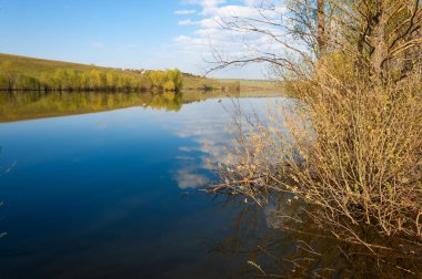 bahar Gölü. Su birikintisi bahar. Bahar park göl. bahar Gölü sahne. Bahar gölün kıyısında.