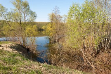 bahar Gölü. Su birikintisi bahar. Bahar park göl. bahar Gölü sahne. Bahar gölün kıyısında.