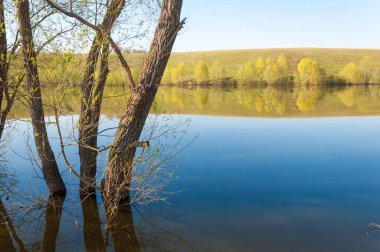 bahar Gölü. Su birikintisi bahar. Bahar park göl. bahar Gölü sahne. Bahar gölün kıyısında.