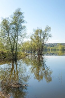 bahar Gölü. Su birikintisi bahar. Bahar park göl. bahar Gölü sahne. Bahar gölün kıyısında.