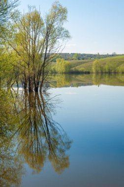 bahar Gölü. Su birikintisi bahar. Bahar park göl. bahar Gölü sahne. Bahar gölün kıyısında.