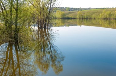 bahar Gölü. Su birikintisi bahar. Bahar park göl. bahar Gölü sahne. Bahar gölün kıyısında.