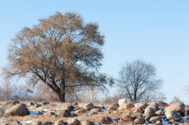  kayalar ve woods, erken Bahar yatay