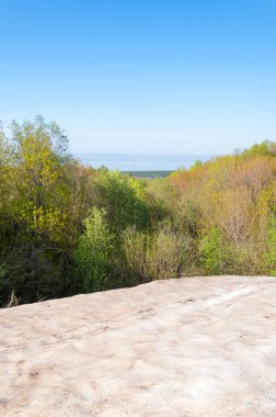 Son kar, yeşil ağaçlar. Bir orman hillside bahar yeşil kar son parça. Yeşil bahar kayın ormanı tepe üzerinde son karda. Nisan hava.