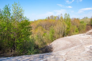 Son kar, yeşil ağaçlar. Bir orman hillside bahar yeşil kar son parça. Yeşil bahar kayın ormanı tepe üzerinde son karda. Nisan hava.