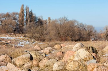  kayalar ve woods, erken Bahar yatay