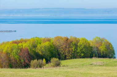 Bahar, büyük bir nehir, renkli ağaçlar. Nehir kenarında yumuşak sabah şafak ışığı içinde filizlenen büyük ağaç. Sakin nehir düşük dağlara akan