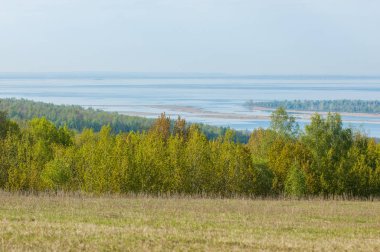Bahar, büyük bir nehir, renkli ağaçlar. Nehir kenarında yumuşak sabah şafak ışığı içinde filizlenen büyük ağaç. Sakin nehir düşük dağlara akan