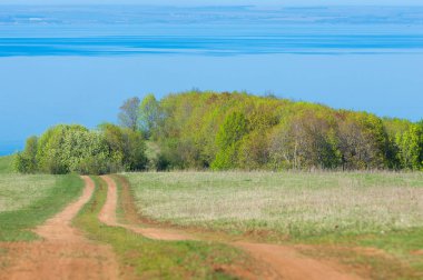 Bahar günü ülkede yol. Köy yolunda bahar günü ormanında. Köy yolunda yaz, yeşil alan ve mavi temiz gökyüzü arasında. Doğa kavramsal görüntü.