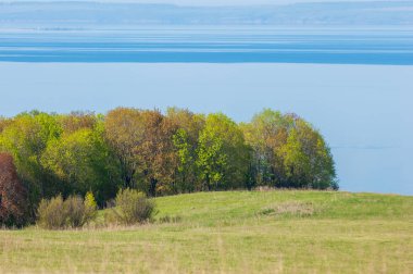 Bahar, büyük bir nehir, renkli ağaçlar. Nehir kenarında yumuşak sabah şafak ışığı içinde filizlenen büyük ağaç. Sakin nehir düşük dağlara akan