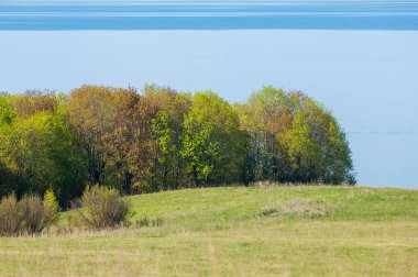 Bahar, büyük bir nehir, renkli ağaçlar. Nehir kenarında yumuşak sabah şafak ışığı içinde filizlenen büyük ağaç. Sakin nehir düşük dağlara akan