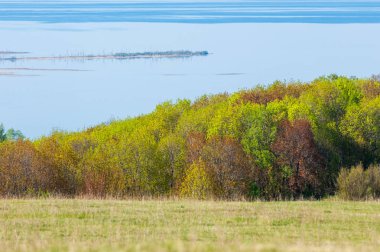 Bahar, büyük bir nehir, renkli ağaçlar. Nehir kenarında yumuşak sabah şafak ışığı içinde filizlenen büyük ağaç. Sakin nehir düşük dağlara akan
