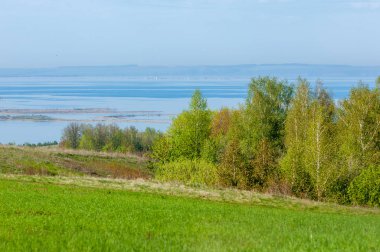Bahar, büyük bir nehir, renkli ağaçlar. Nehir kenarında yumuşak sabah şafak ışığı içinde filizlenen büyük ağaç. Sakin nehir düşük dağlara akan
