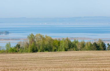 Bahar, büyük bir nehir, renkli ağaçlar. Nehir kenarında yumuşak sabah şafak ışığı içinde filizlenen büyük ağaç. Sakin nehir düşük dağlara akan