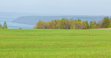 Bahar, büyük bir nehir, renkli ağaçlar. Nehir kenarında yumuşak sabah şafak ışığı içinde filizlenen büyük ağaç. Sakin nehir düşük dağlara akan