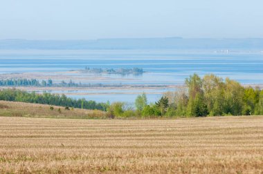 Bahar, büyük bir nehir, renkli ağaçlar. Nehir kenarında yumuşak sabah şafak ışığı içinde filizlenen büyük ağaç. Sakin nehir düşük dağlara akan
