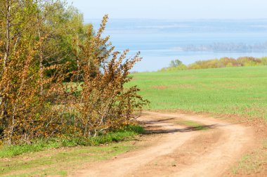 Bahar günü ülkede yol. Köy yolunda bahar günü ormanında. Köy yolunda yaz, yeşil alan ve mavi temiz gökyüzü arasında. Doğa kavramsal görüntü.