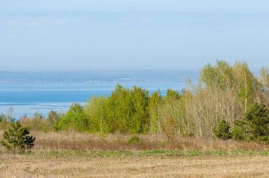 Bahar, büyük bir nehir, renkli ağaçlar. Nehir kenarında yumuşak sabah şafak ışığı içinde filizlenen büyük ağaç. Sakin nehir düşük dağlara akan