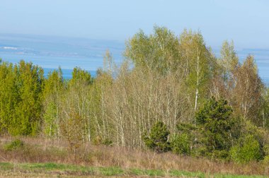 Bahar, büyük bir nehir, renkli ağaçlar. Nehir kenarında yumuşak sabah şafak ışığı içinde filizlenen büyük ağaç. Sakin nehir düşük dağlara akan