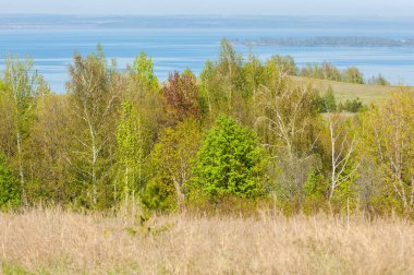 Bahar, büyük bir nehir, renkli ağaçlar. Nehir kenarında yumuşak sabah şafak ışığı içinde filizlenen büyük ağaç. Sakin nehir düşük dağlara akan