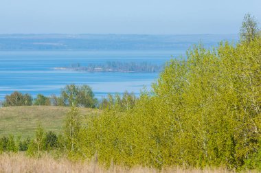 Bahar, büyük bir nehir, renkli ağaçlar. Nehir kenarında yumuşak sabah şafak ışığı içinde filizlenen büyük ağaç. Sakin nehir düşük dağlara akan