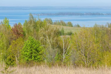 Bahar, büyük bir nehir, renkli ağaçlar. Nehir kenarında yumuşak sabah şafak ışığı içinde filizlenen büyük ağaç. Sakin nehir düşük dağlara akan