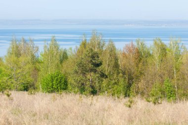 Bahar, büyük bir nehir, renkli ağaçlar. Nehir kenarında yumuşak sabah şafak ışığı içinde filizlenen büyük ağaç. Sakin nehir düşük dağlara akan
