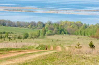 Bahar, büyük bir nehir, renkli ağaçlar. Nehir kenarında yumuşak sabah şafak ışığı içinde filizlenen büyük ağaç. Sakin nehir düşük dağlara akan