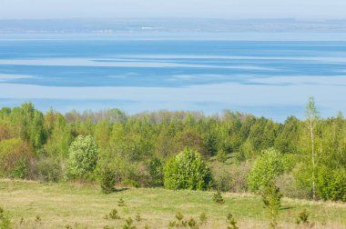 Bahar, büyük bir nehir, renkli ağaçlar. Nehir kenarında yumuşak sabah şafak ışığı içinde filizlenen büyük ağaç. Sakin nehir düşük dağlara akan