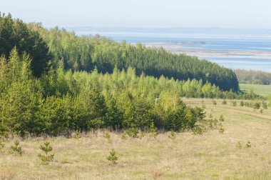 Bahar, büyük bir nehir, renkli ağaçlar. Nehir kenarında yumuşak sabah şafak ışığı içinde filizlenen büyük ağaç. Sakin nehir düşük dağlara akan