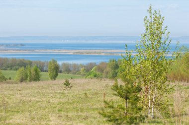 Bahar, büyük bir nehir, renkli ağaçlar. Nehir kenarında yumuşak sabah şafak ışığı içinde filizlenen büyük ağaç. Sakin nehir düşük dağlara akan