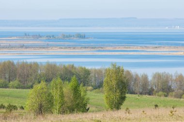 Bahar, büyük bir nehir, renkli ağaçlar. Nehir kenarında yumuşak sabah şafak ışığı içinde filizlenen büyük ağaç. Sakin nehir düşük dağlara akan