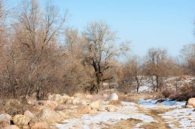  kayalar ve woods, erken Bahar yatay