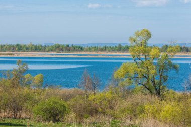 Bahar, büyük bir nehir, renkli ağaçlar. Nehir kenarında yumuşak sabah şafak ışığı içinde filizlenen büyük ağaç. Sakin nehir düşük dağlara akan