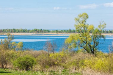 Bahar, büyük bir nehir, renkli ağaçlar. Nehir kenarında yumuşak sabah şafak ışığı içinde filizlenen büyük ağaç. Sakin nehir düşük dağlara akan