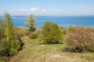 Bahar, büyük bir nehir, renkli ağaçlar. Nehir kenarında yumuşak sabah şafak ışığı içinde filizlenen büyük ağaç. Sakin nehir düşük dağlara akan