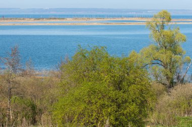 Bahar, büyük bir nehir, renkli ağaçlar. Nehir kenarında yumuşak sabah şafak ışığı içinde filizlenen büyük ağaç. Sakin nehir düşük dağlara akan