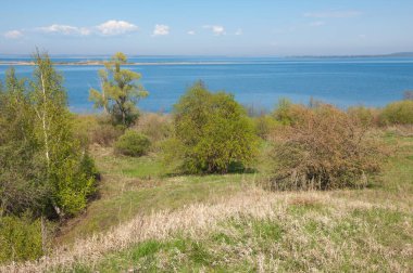 Bahar, büyük bir nehir, renkli ağaçlar. Nehir kenarında yumuşak sabah şafak ışığı içinde filizlenen büyük ağaç. Sakin nehir düşük dağlara akan