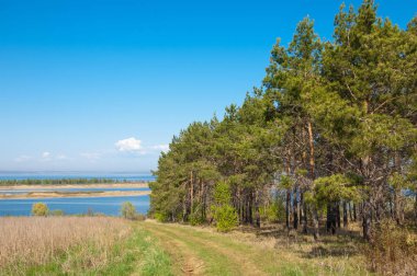 Bahar, büyük bir nehir, renkli ağaçlar. Nehir kenarında yumuşak sabah şafak ışığı içinde filizlenen büyük ağaç. Sakin nehir düşük dağlara akan