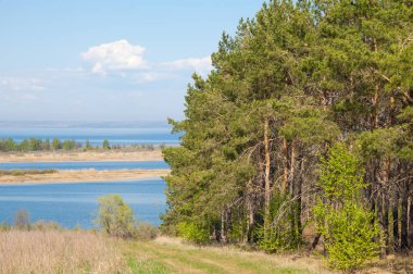 Bahar, büyük bir nehir, renkli ağaçlar. Nehir kenarında yumuşak sabah şafak ışığı içinde filizlenen büyük ağaç. Sakin nehir düşük dağlara akan