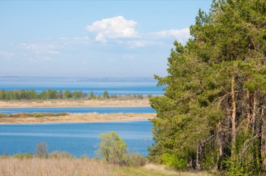 Bahar, büyük bir nehir, renkli ağaçlar. Nehir kenarında yumuşak sabah şafak ışığı içinde filizlenen büyük ağaç. Sakin nehir düşük dağlara akan