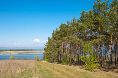 Bahar, büyük bir nehir, renkli ağaçlar. Nehir kenarında yumuşak sabah şafak ışığı içinde filizlenen büyük ağaç. Sakin nehir düşük dağlara akan
