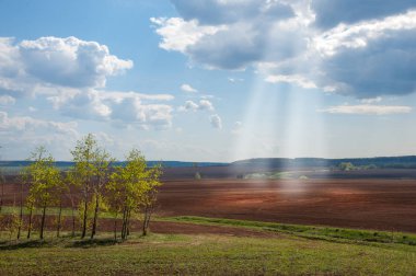 Alan sürülmüş, ekilen hububat. Bahar günü sürülmüş alana. Siyah toprak sürülmüş alan. Mavi gökyüzünde sürülmüş alan