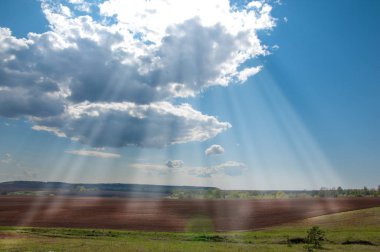 Alan sürülmüş, ekilen hububat. Bahar günü sürülmüş alana. Siyah toprak sürülmüş alan. Mavi gökyüzünde sürülmüş alan