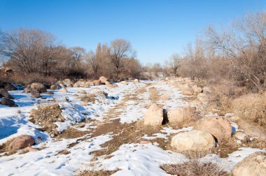  kayalar ve woods, erken Bahar yatay